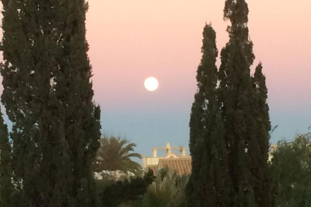 Privates Ferienhaus Villa De Paz - Costa Blanca Orihuela Luaran gambar